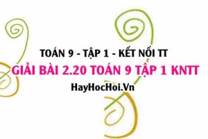 Bài 2.20 Toán 9 tập 1 SGK Kết nối tri thức